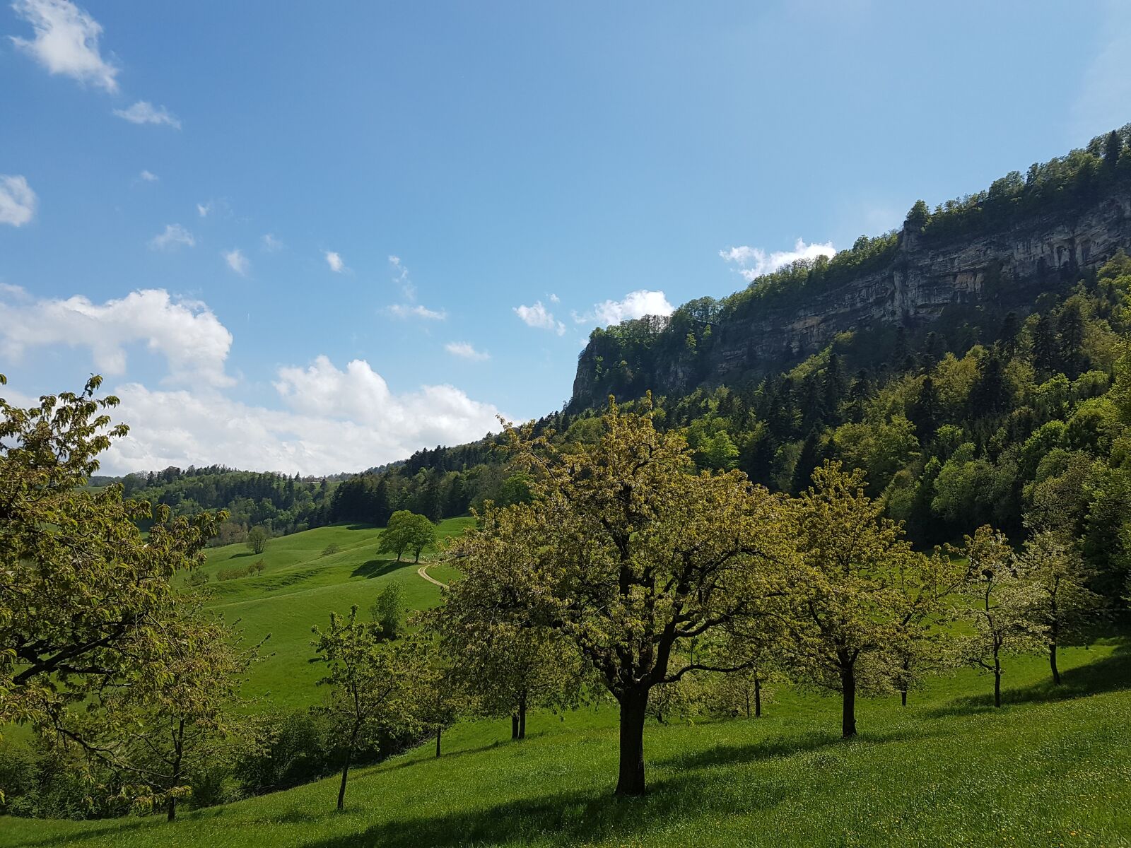 Samsung Galaxy S7 Edge sample photo. Switzerland, basel-land, eptingen photography