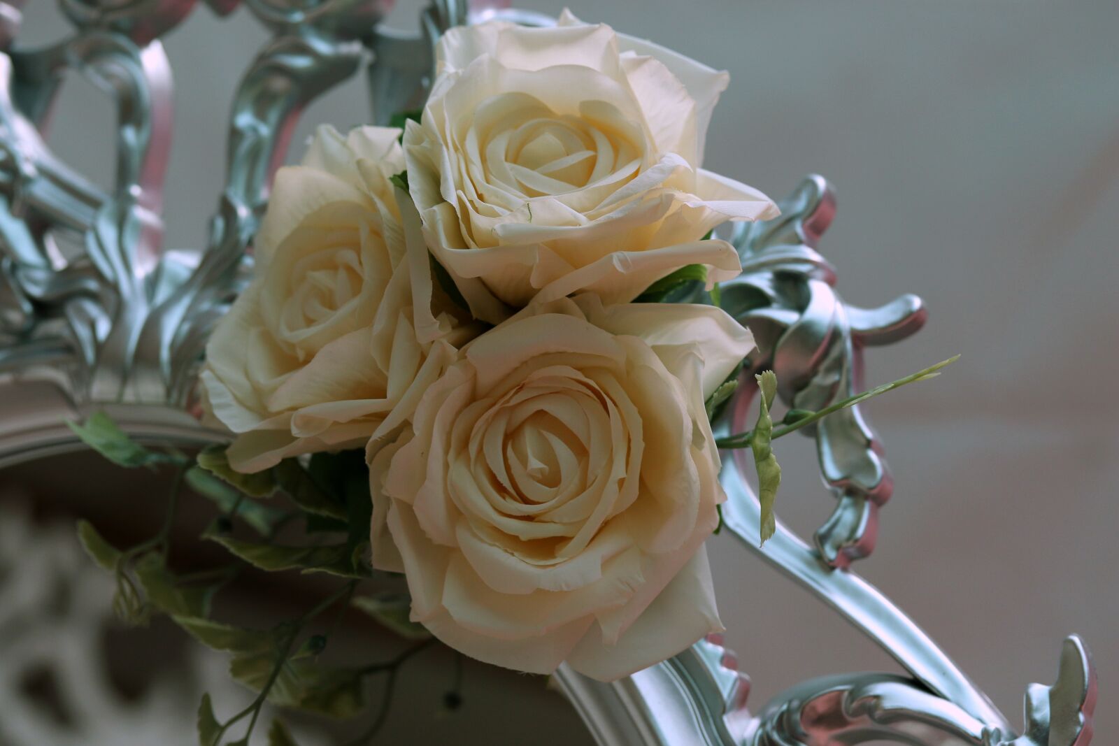 Canon EF-S 60mm F2.8 Macro USM sample photo. Rose, three, white photography