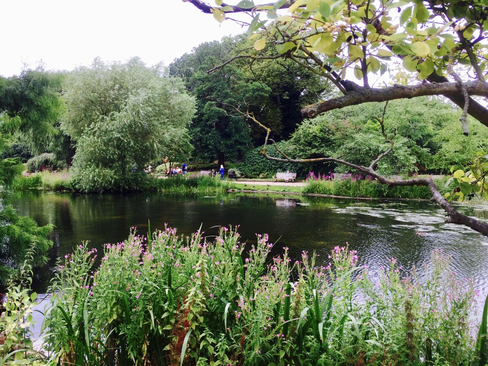 iPhone 6 Plus back camera 4.15mm f/2.2 sample photo. Lake photography