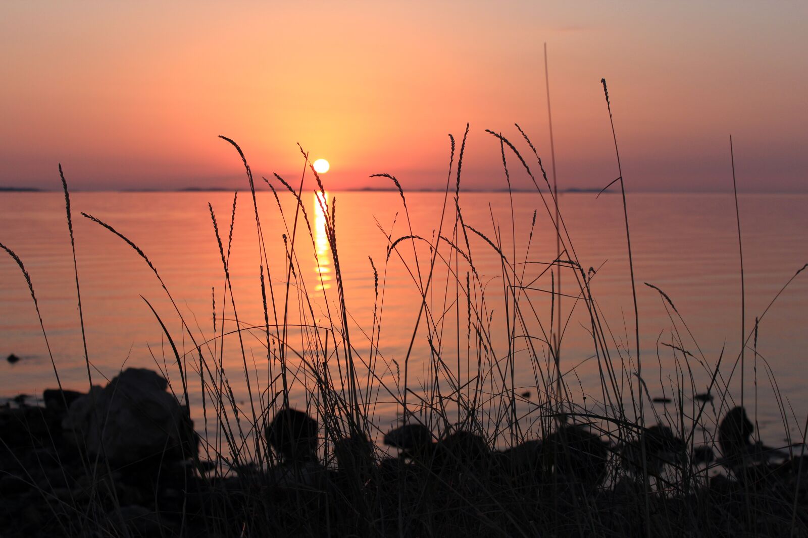 Canon EOS 600D (Rebel EOS T3i / EOS Kiss X5) sample photo. Sunset, sun, blade of photography