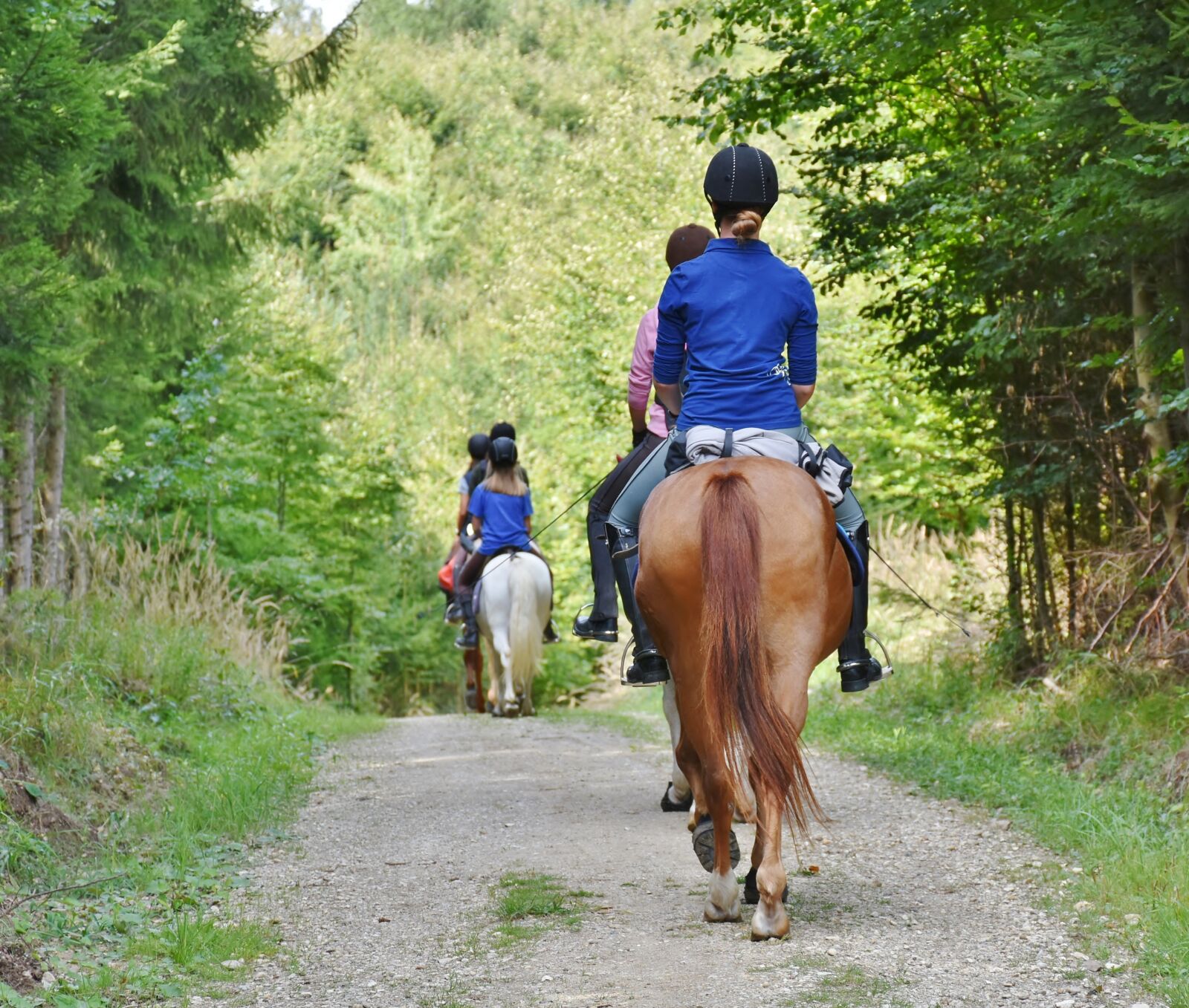 Nikon D7200 sample photo. Horses, reiter, ride photography