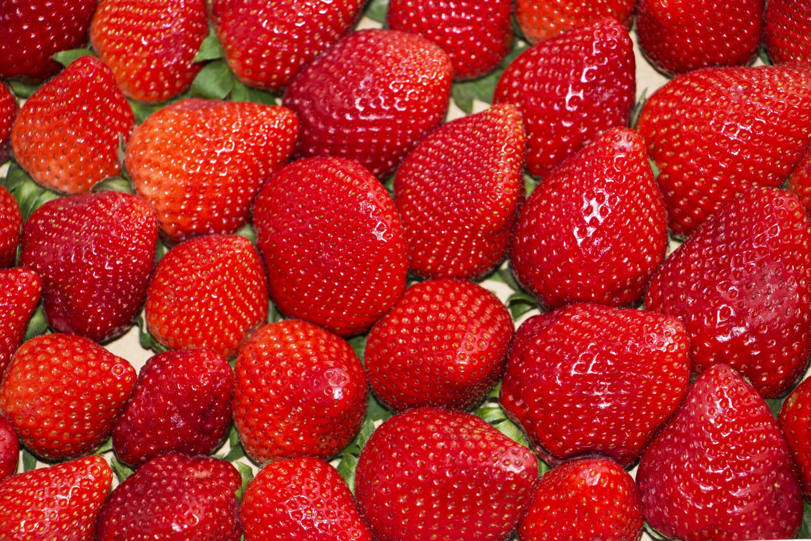 Canon EOS 700D (EOS Rebel T5i / EOS Kiss X7i) sample photo. Background, strawberry, red photography