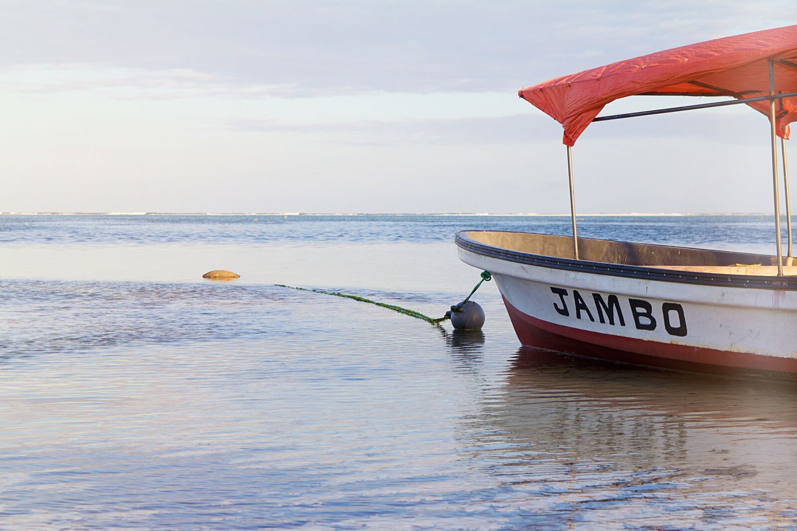 Canon EOS 600D (Rebel EOS T3i / EOS Kiss X5) sample photo. Tanzania, zanzibar, africa photography