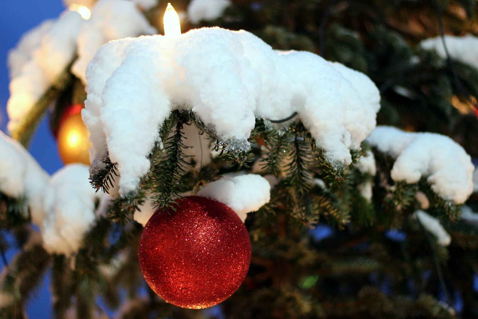 Canon EOS 600D (Rebel EOS T3i / EOS Kiss X5) + Canon EF 50mm F1.8 STM sample photo. Christmas ornament, fir tree photography