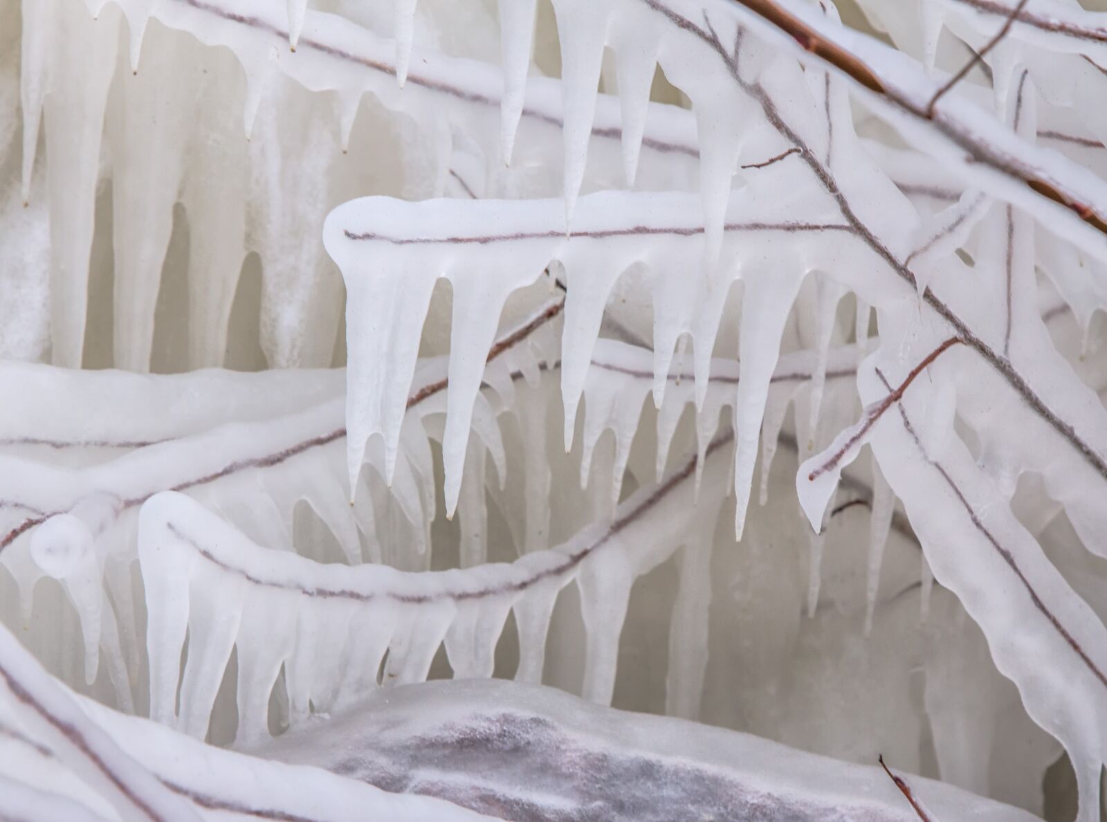 Canon EOS 70D + Canon EF 24-105mm F4L IS USM sample photo. Branches, cold, freeze photography