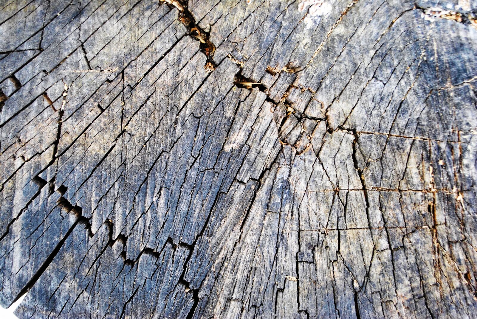 Nikon D3000 sample photo. Wood, abstract, crack photography
