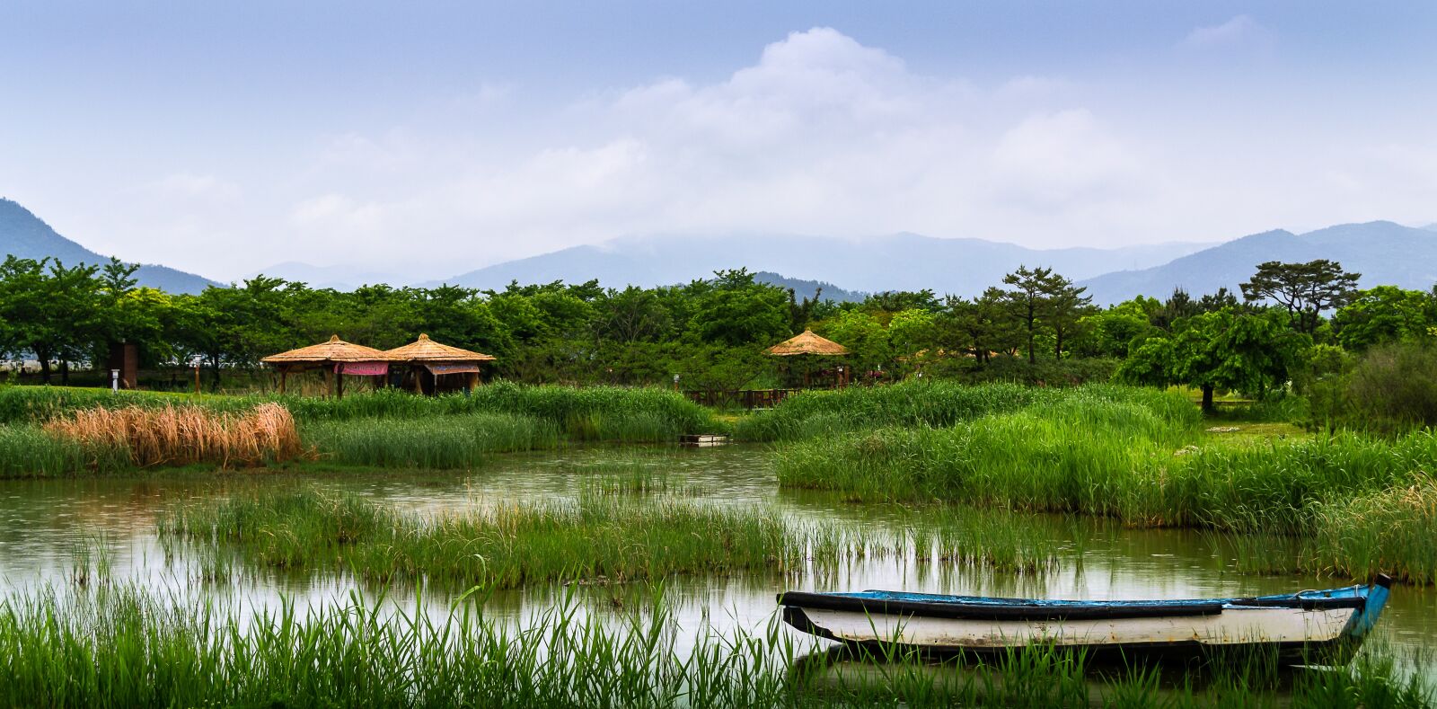 Nikon D3100 sample photo. Garden, suncheon bay, plants photography