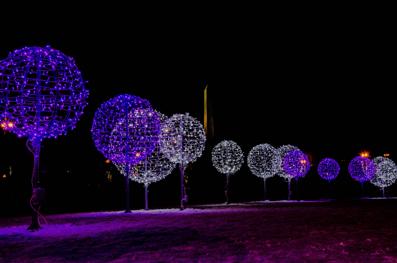 Nikon D5100 sample photo