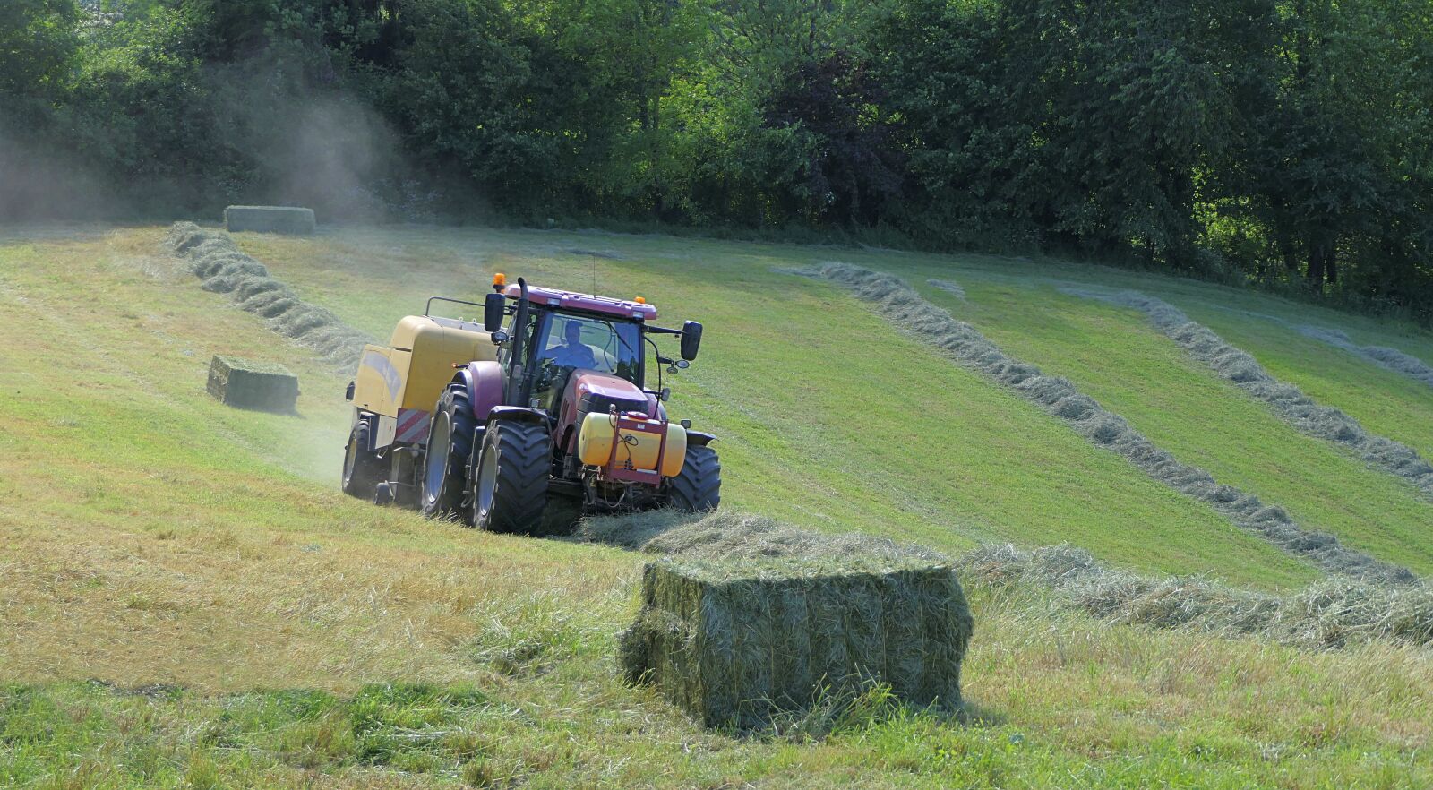 Panasonic Lumix DMC-FZ2500 (Lumix DMC-FZ2000) sample photo. Tractor, field, boot photography