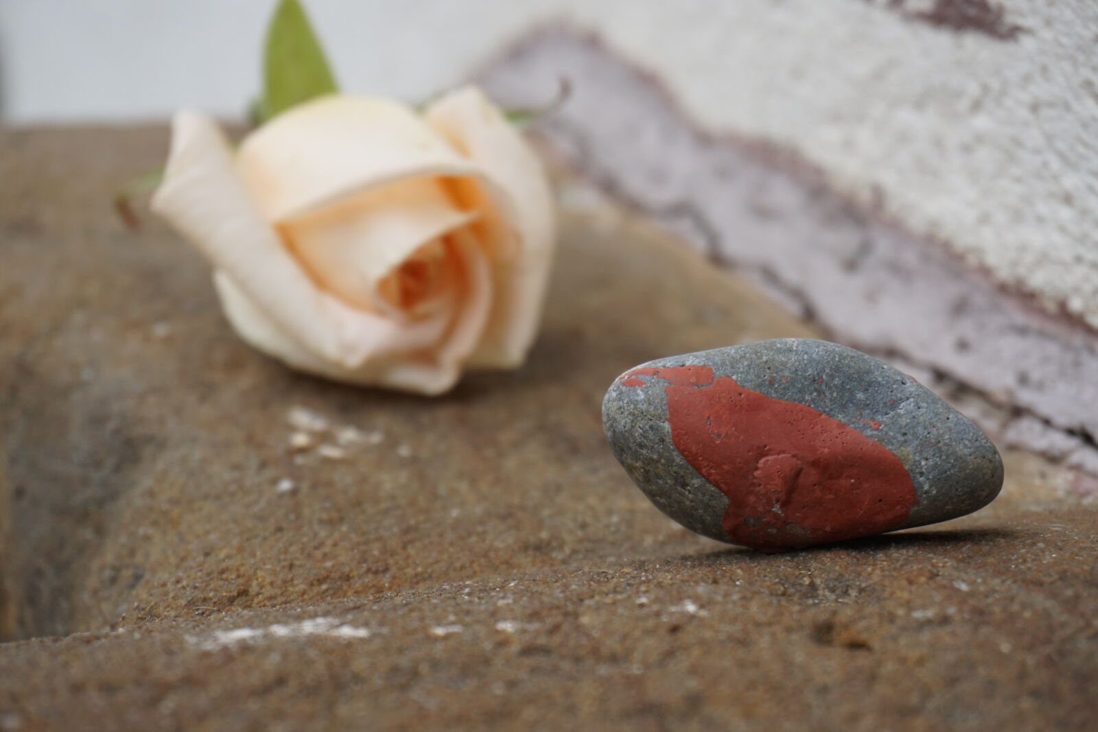 Sony E 16-50mm F3.5-5.6 PZ OSS sample photo. Art, rose, stone photography