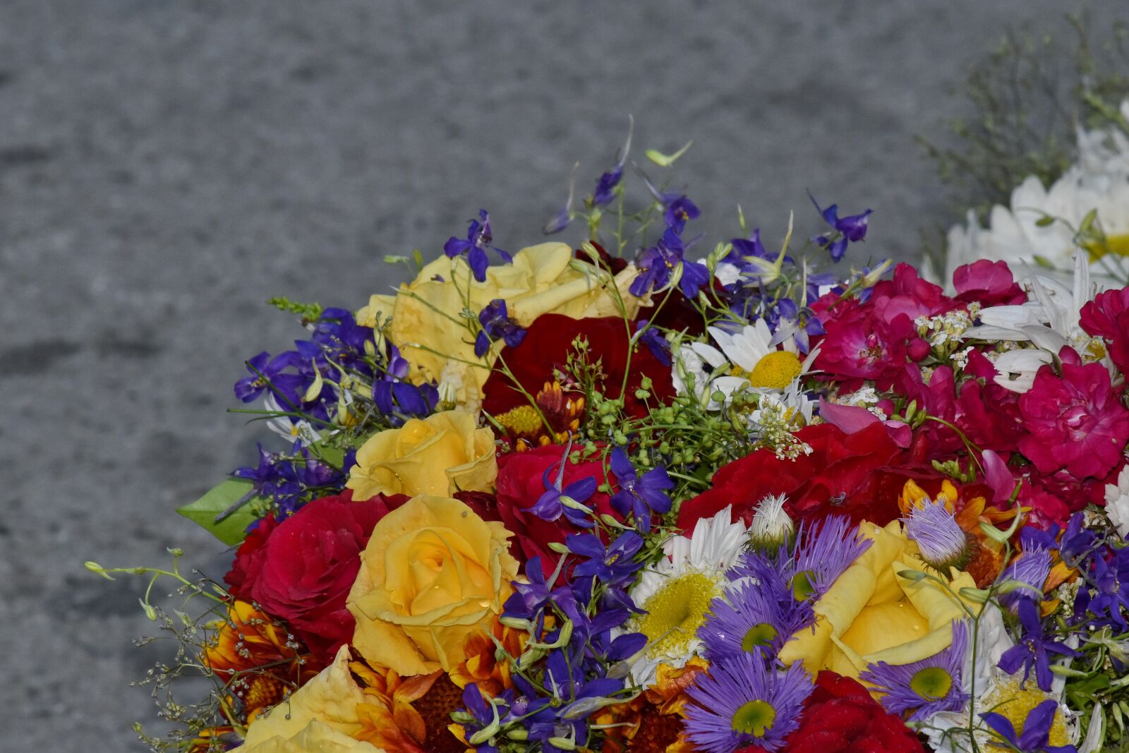 Nikon D5500 sample photo. Bouquet, colorful, details, plant photography