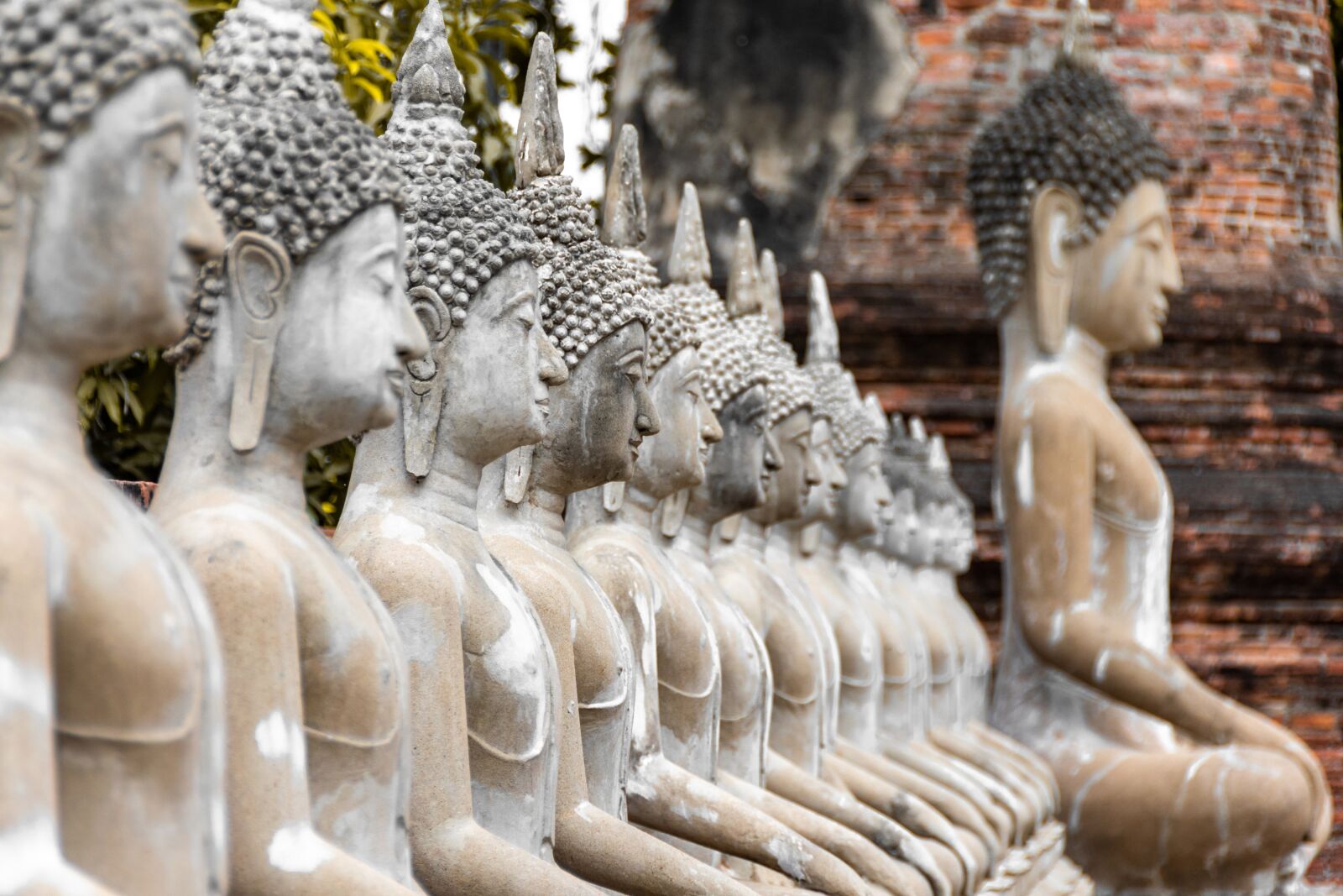 Nikon D5600 sample photo. Buddha, statue, meditation photography