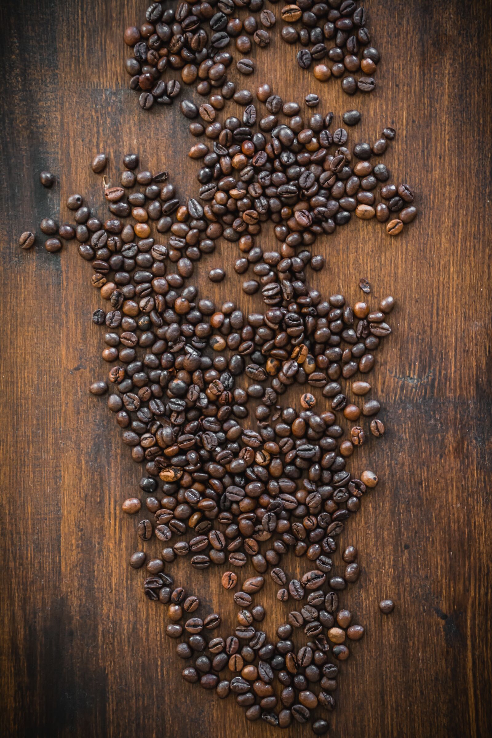 Canon EOS 70D sample photo. Coffee beans, coffee, beans photography