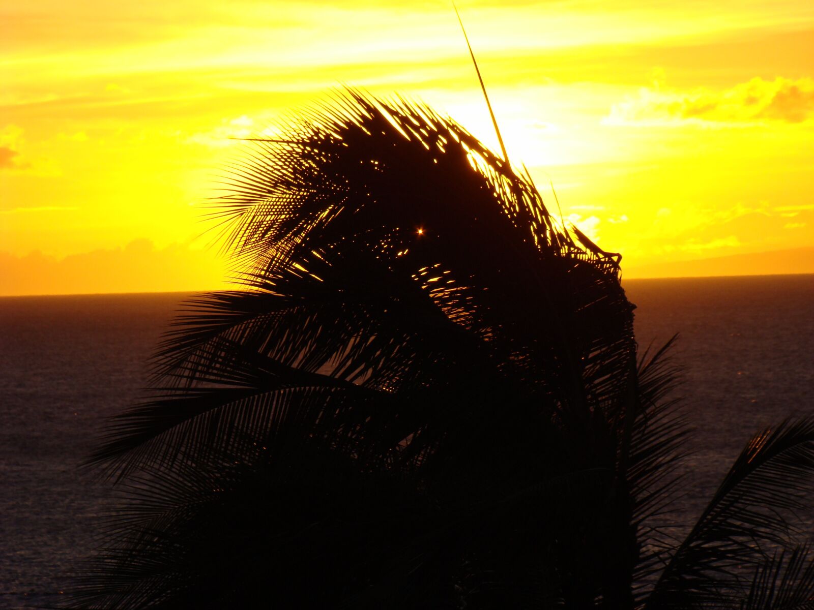 Sony DSC-H9 sample photo. Wind, nature, sunrise photography