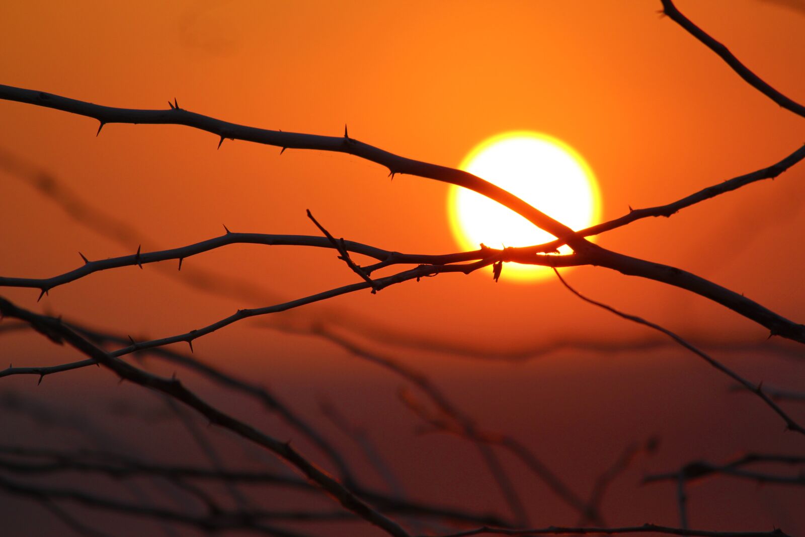 Canon EOS 700D (EOS Rebel T5i / EOS Kiss X7i) sample photo. Sunset, sunrise, nature photography