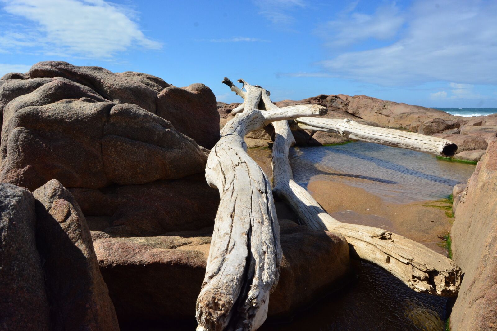 Nikon D5200 sample photo. Drift wood, sea, ocean photography