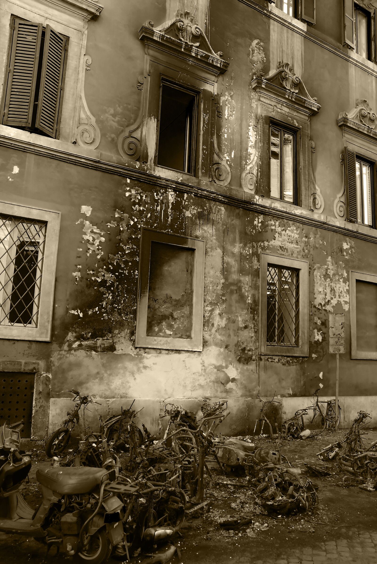 Nikon D80 sample photo. Rome, burned, rose photography