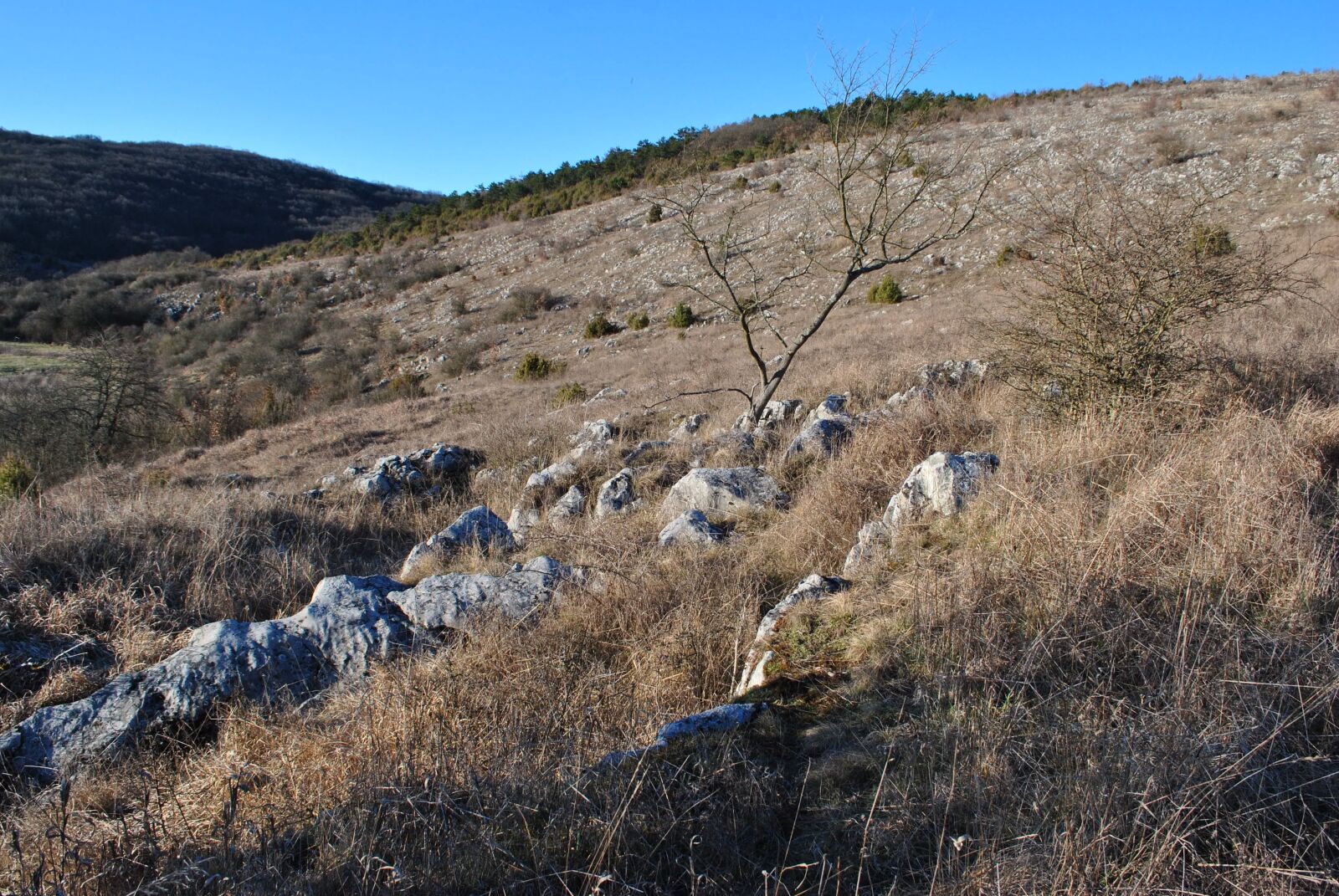Nikon D3000 sample photo. Cliff, stones, landscape photography