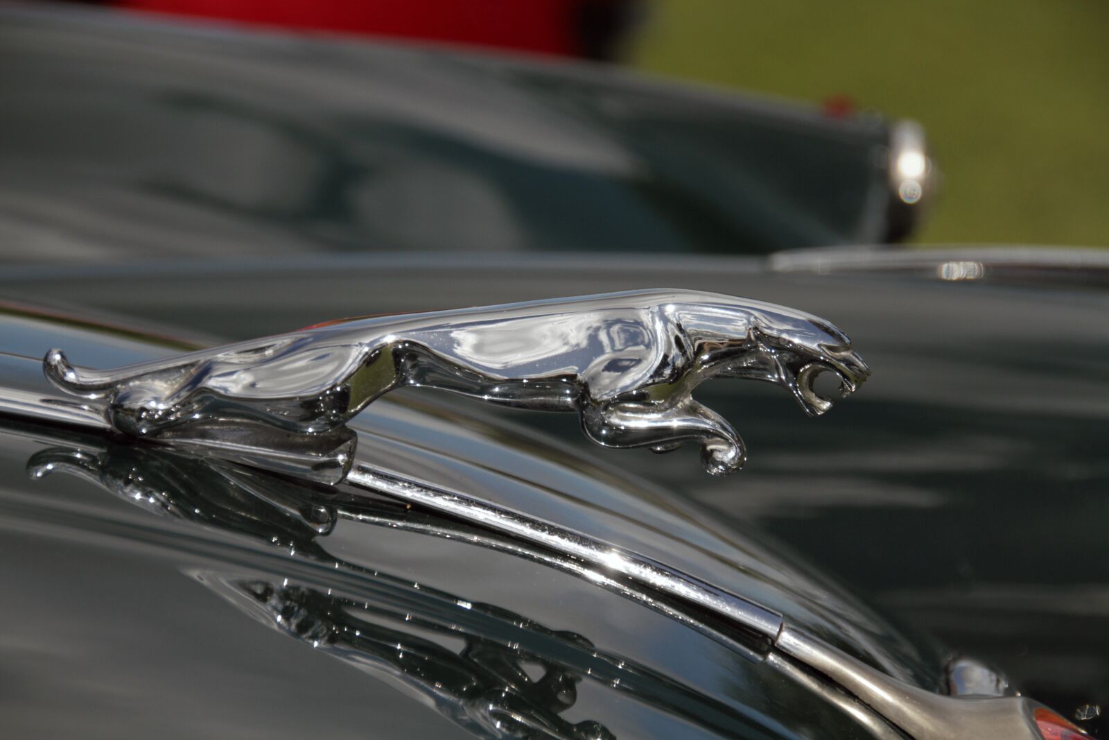 Canon EOS 7D sample photo. Jaguar, emblem, car photography