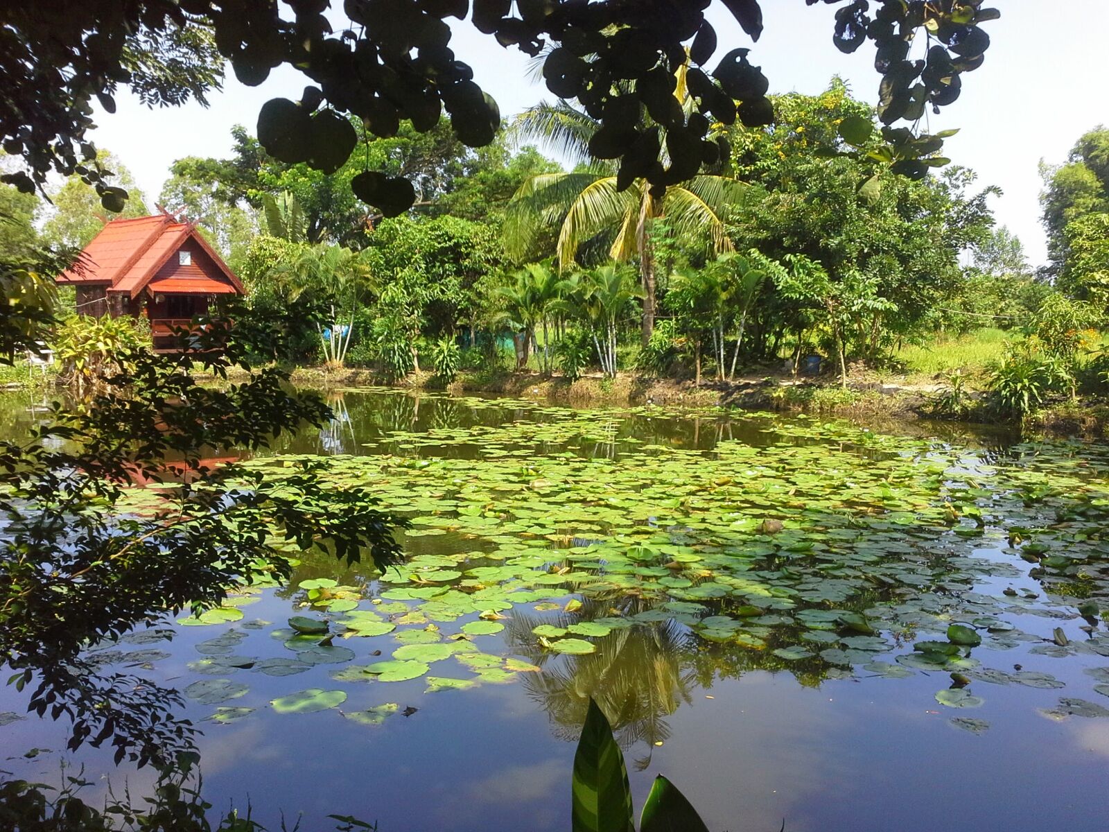Samsung Galaxy Note 10.1 sample photo