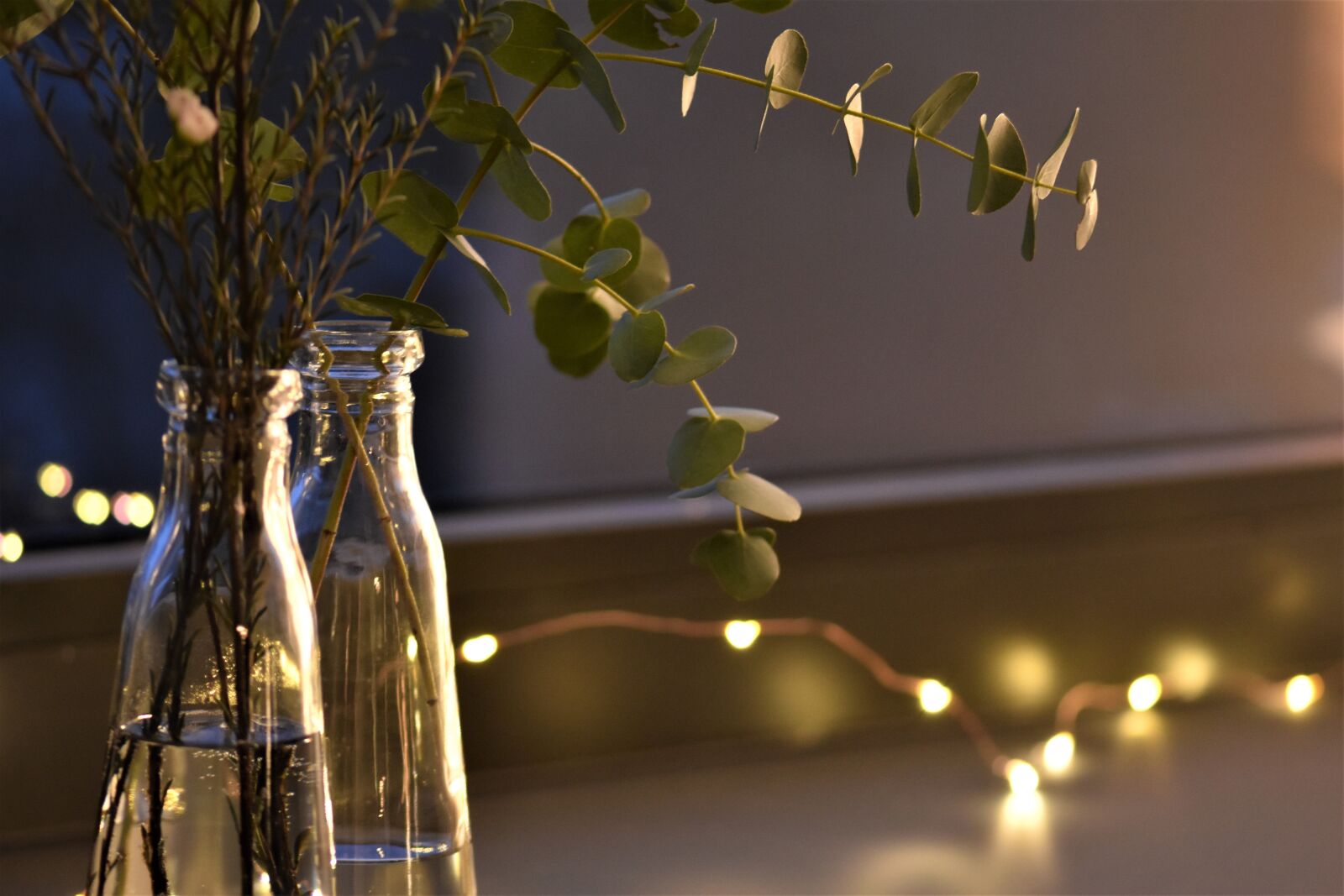 Nikon D5500 sample photo. Lichterkette, mood, festive photography