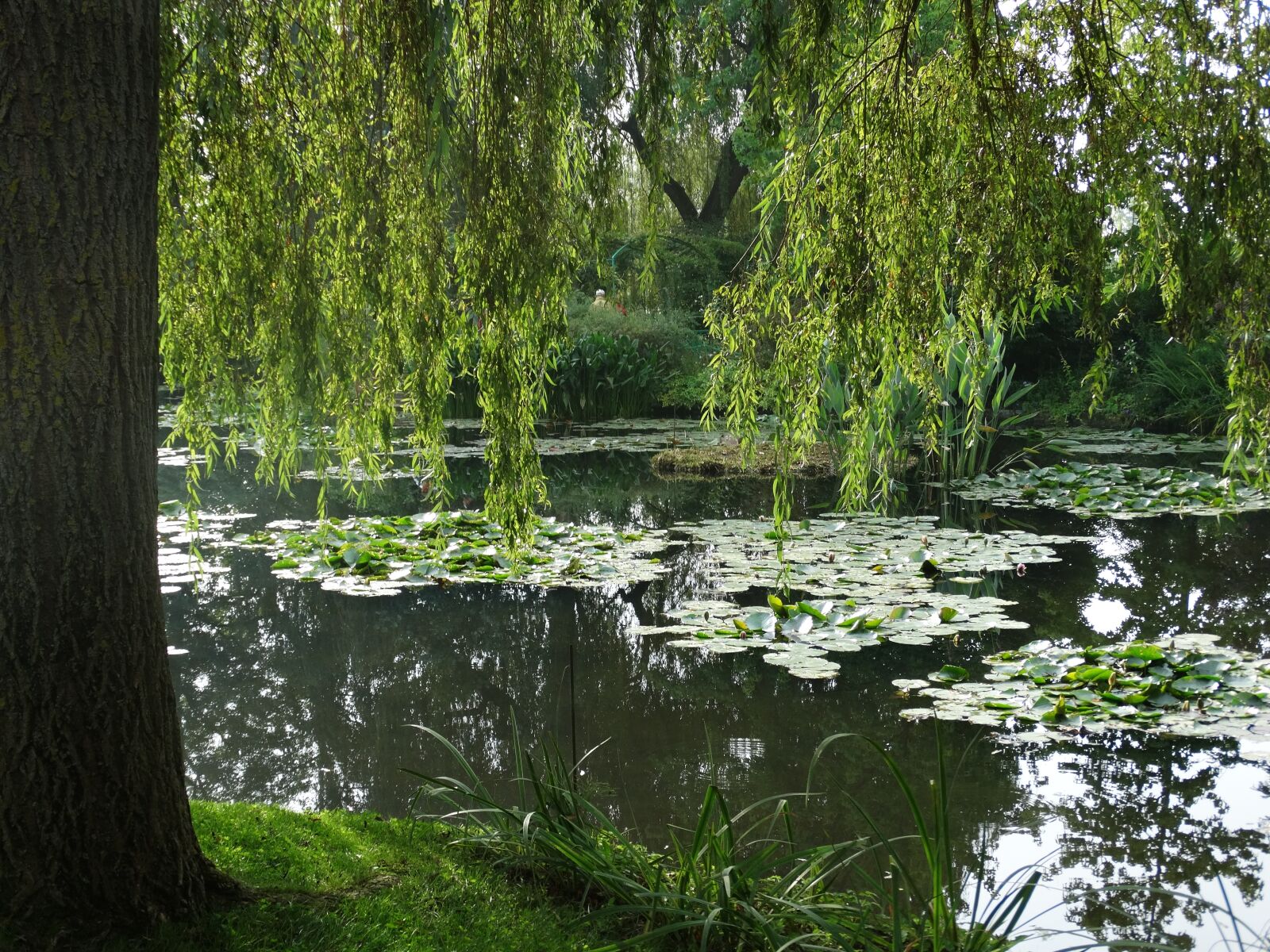 Sony Cyber-shot DSC-HX300 sample photo. Garden, lake, landscape photography