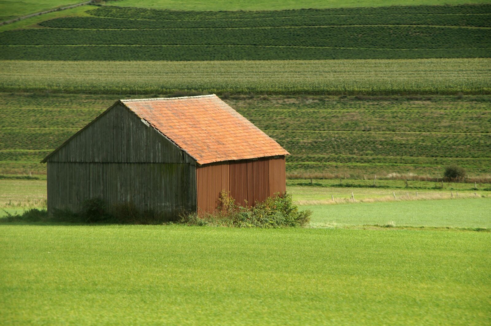 Sony SLT-A57 sample photo. Barn, grass, farm photography
