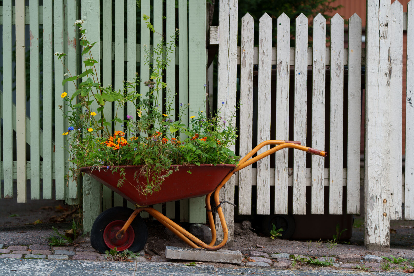 Sony FE 70-200mm F4 G OSS II sample photo. Wheelbarrow planting photography