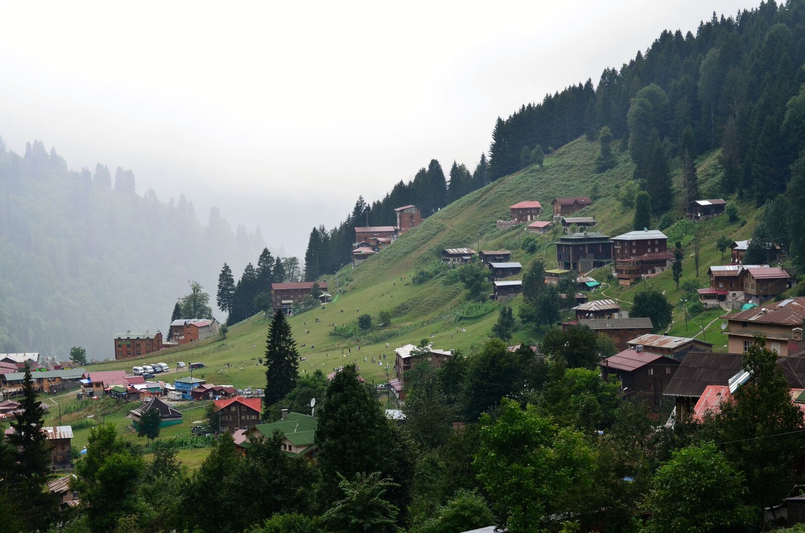 Nikon D5100 sample photo. Eastern black sea, rize photography