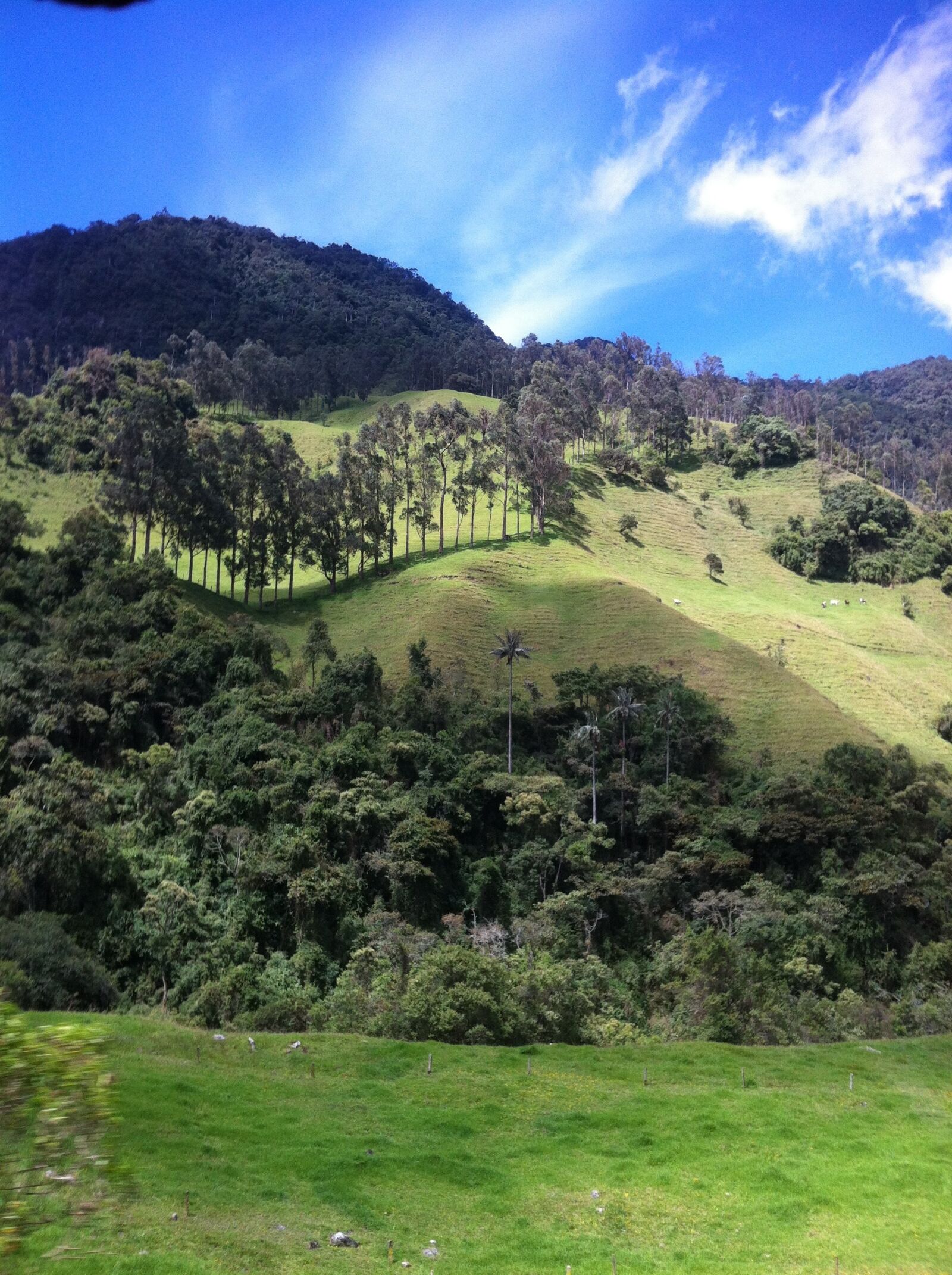 Apple iPhone 4 sample photo. Landscape, cocora valley, travel photography