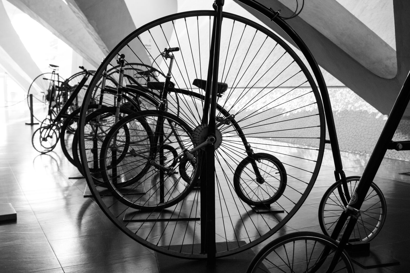 Canon EOS 1200D (EOS Rebel T5 / EOS Kiss X70 / EOS Hi) sample photo. Museum, bicycles, technical photography