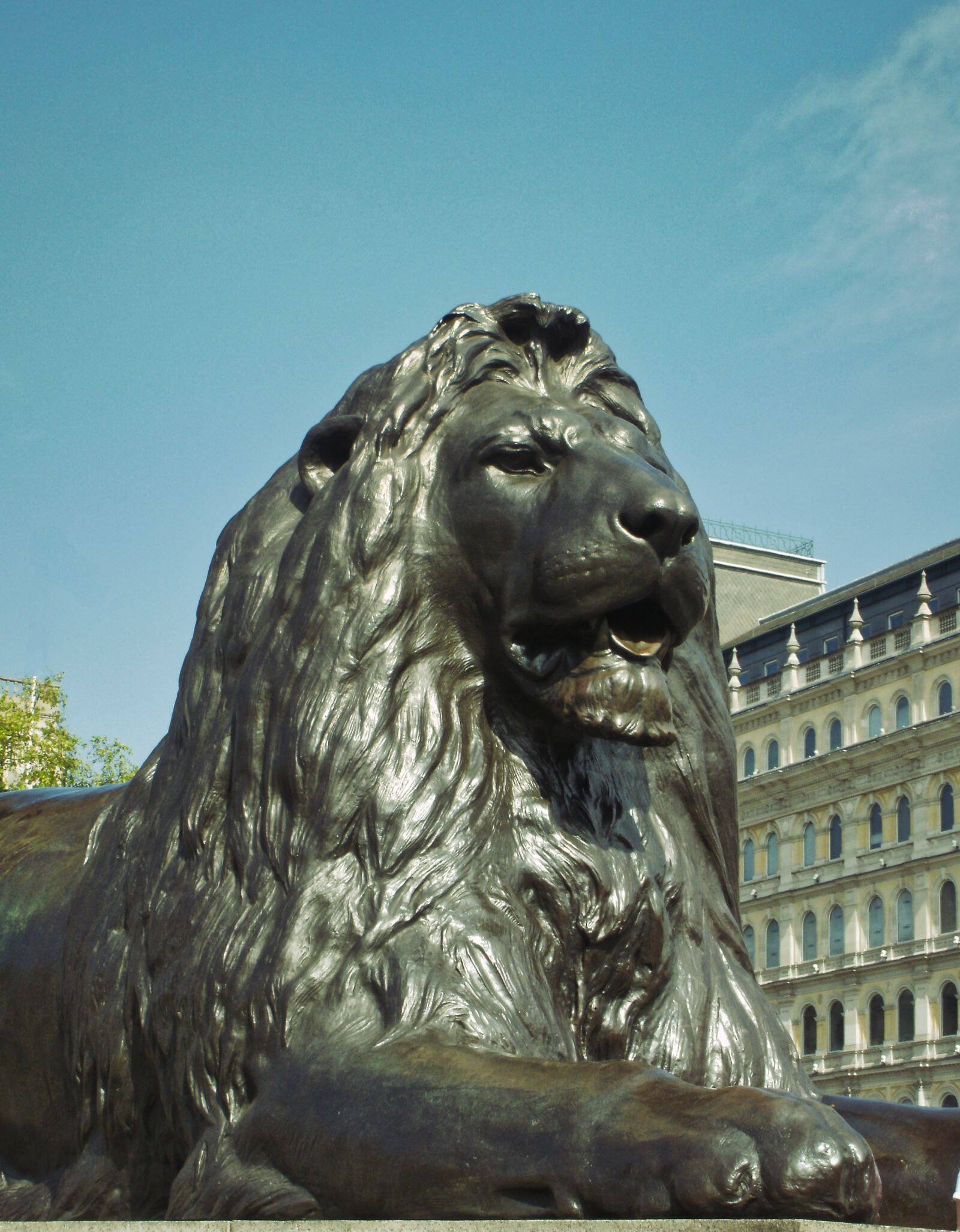 Olympus FE46,X41,X42 sample photo. Lion, art, lion keyboard photography