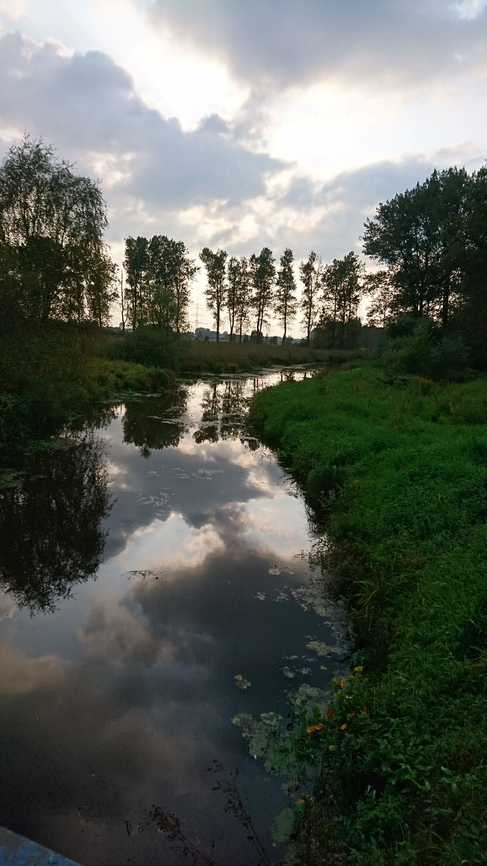 Sony Xperia X sample photo. Light, shadow, mirroring photography