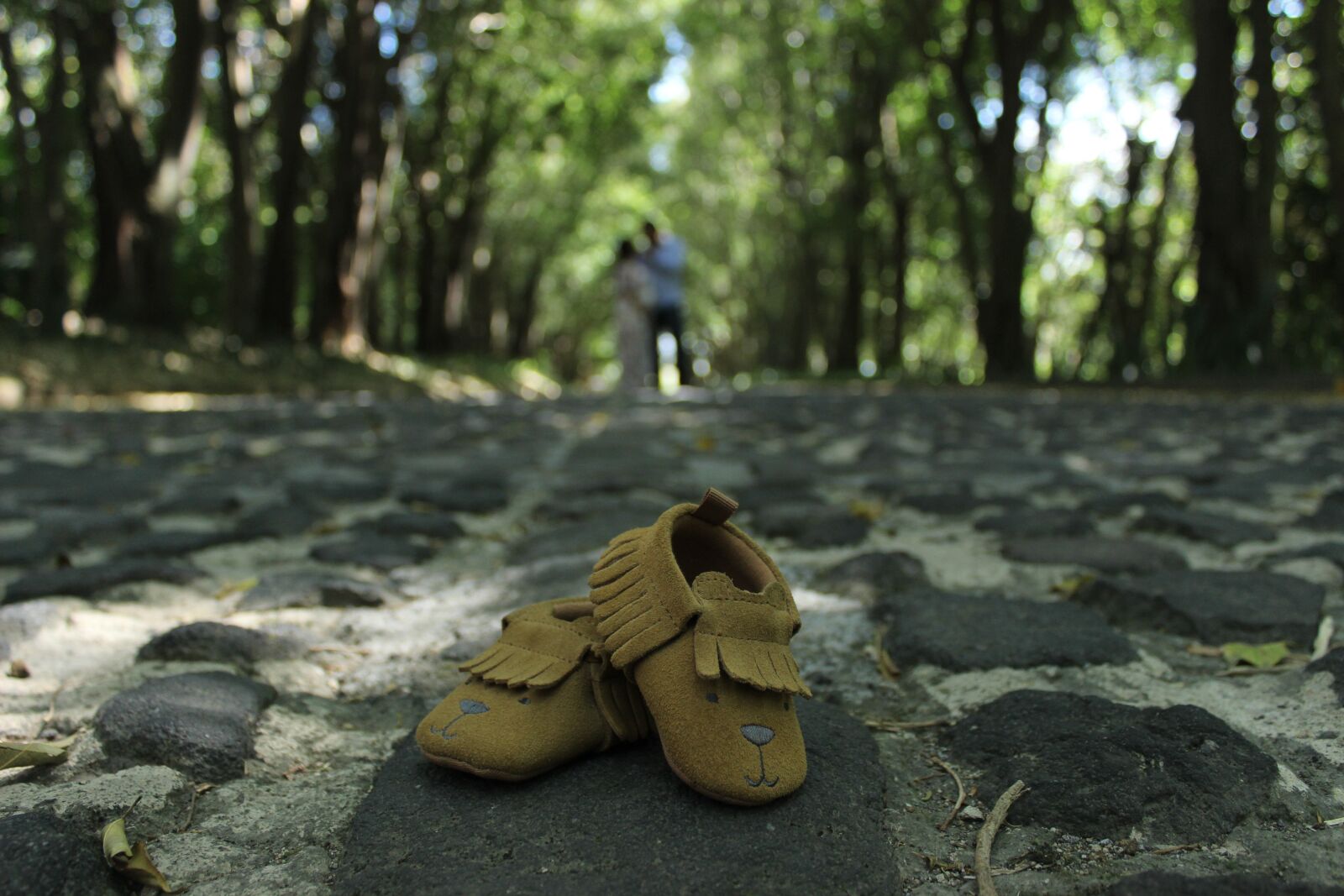 Canon EOS 600D (Rebel EOS T3i / EOS Kiss X5) sample photo. Wood, outdoors, nature photography