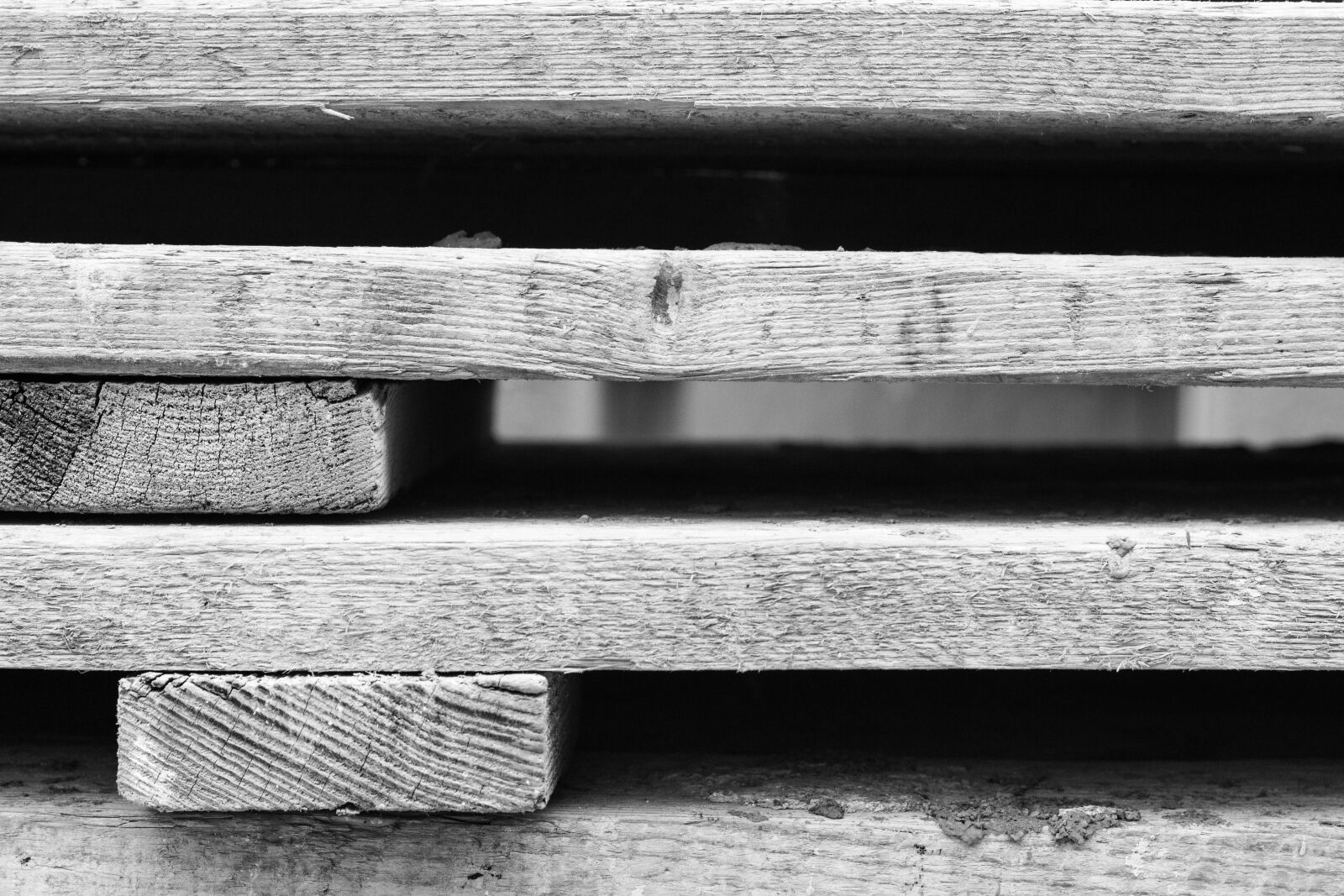 Canon EOS 700D (EOS Rebel T5i / EOS Kiss X7i) + Canon EF 50mm F1.8 STM sample photo. Building, work, leaves photography