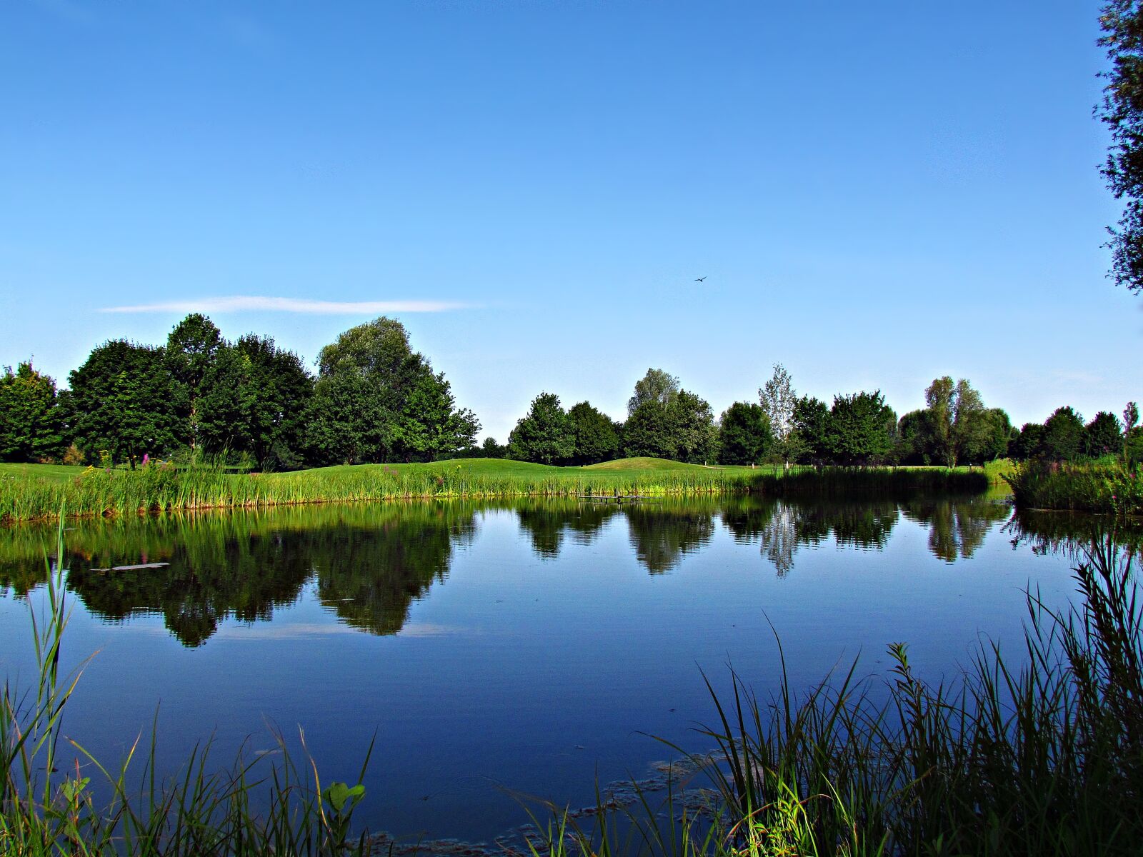 Canon PowerShot SX30 IS sample photo. Water, pond, landscape photography