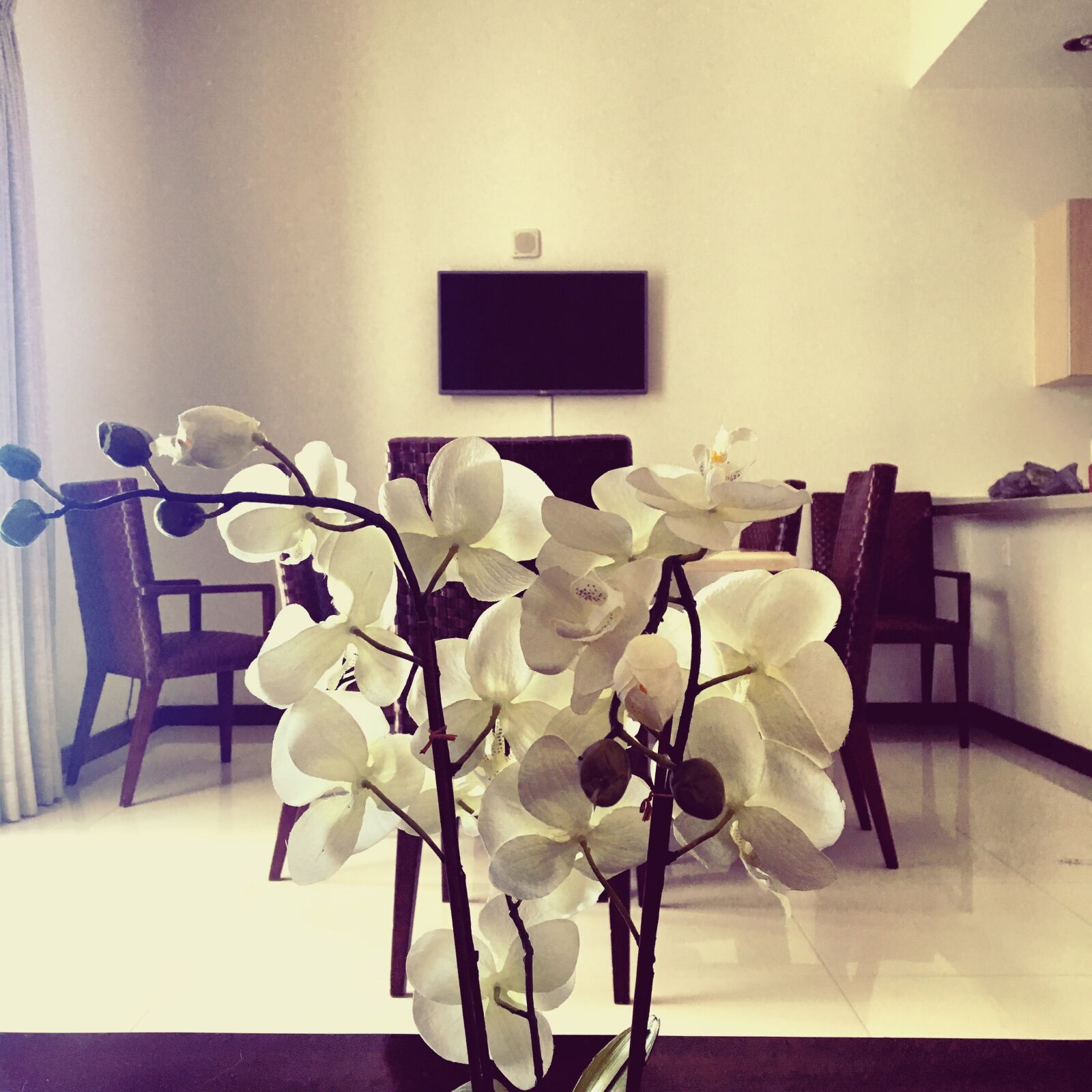 Apple iPhone 6s sample photo