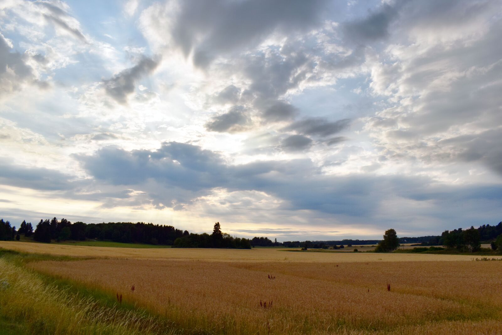 Nikon D5600 sample photo. Himmel, landscapes, cloud photography