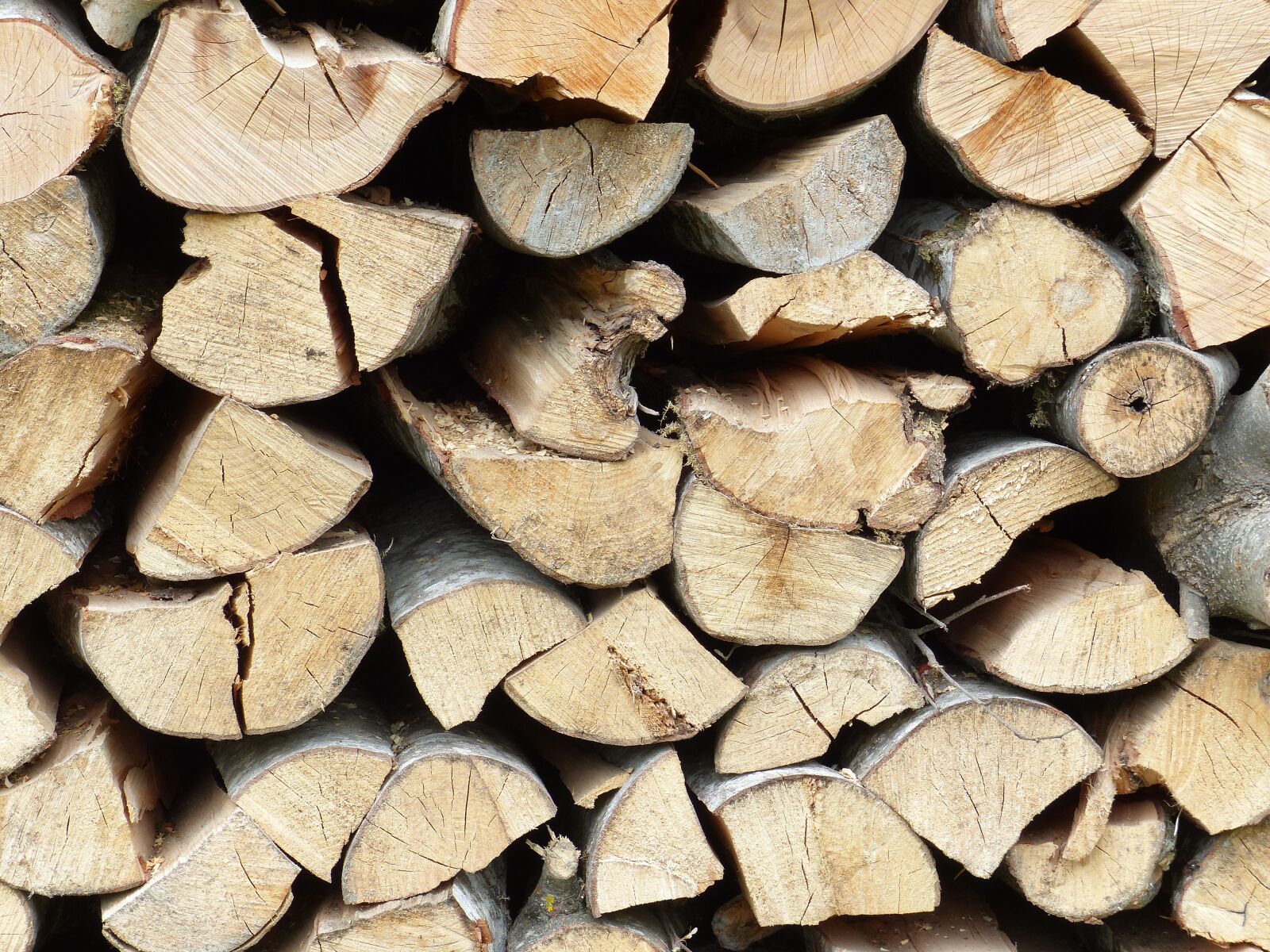 Panasonic Lumix DMC-FZ200 sample photo. Wood, structure, texture photography