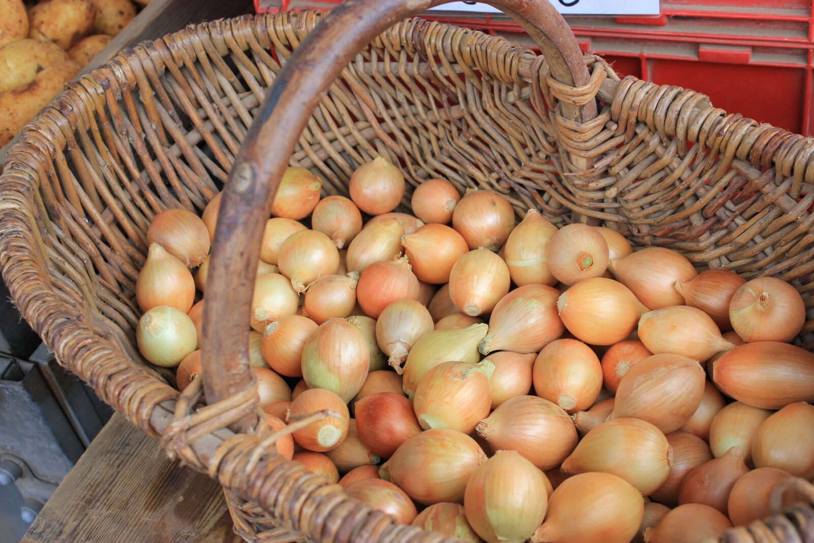 Canon EOS 550D (EOS Rebel T2i / EOS Kiss X4) sample photo. Market, purchasing, food photography