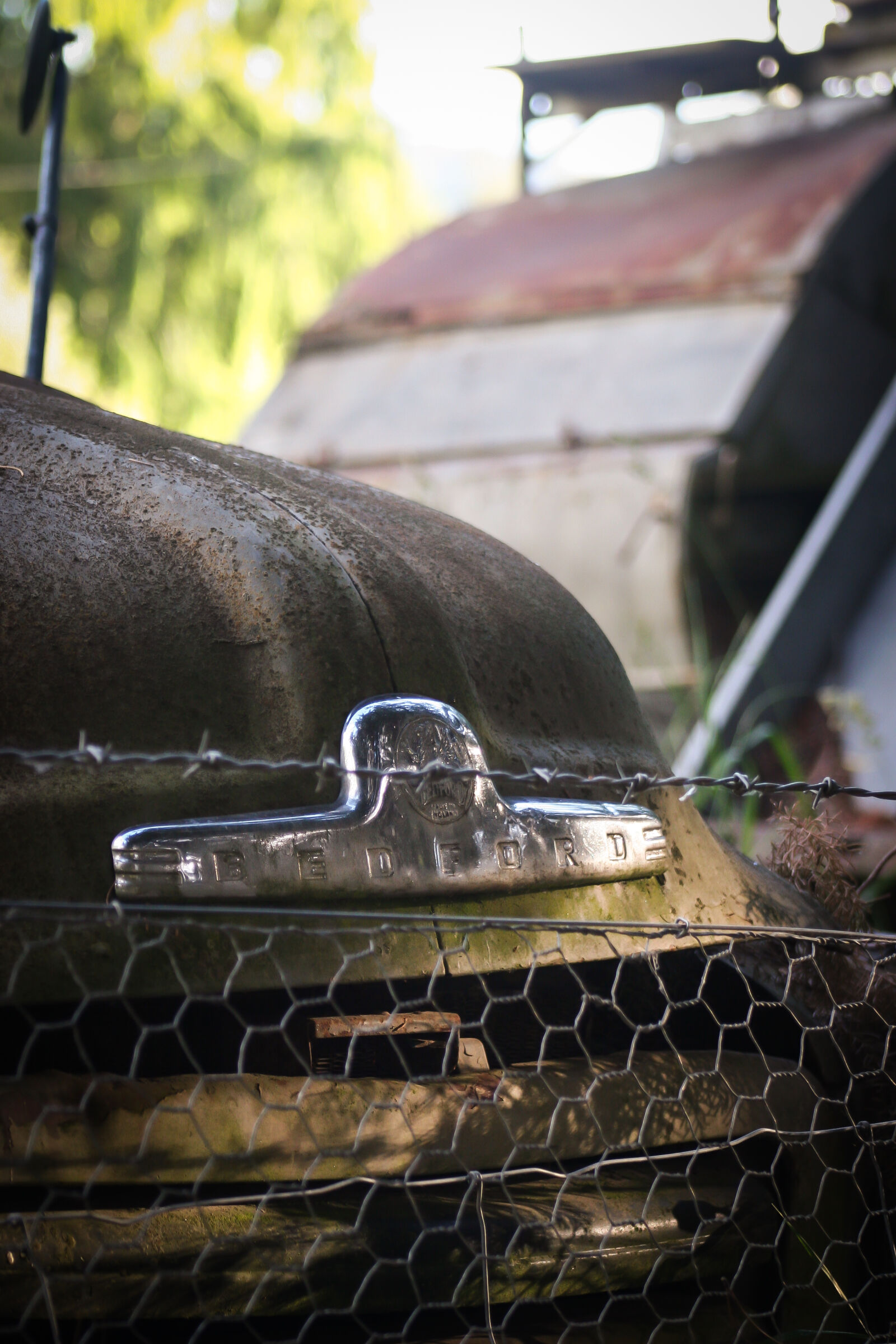 Canon EOS 20D sample photo. Bedford, decay, fence, framing photography