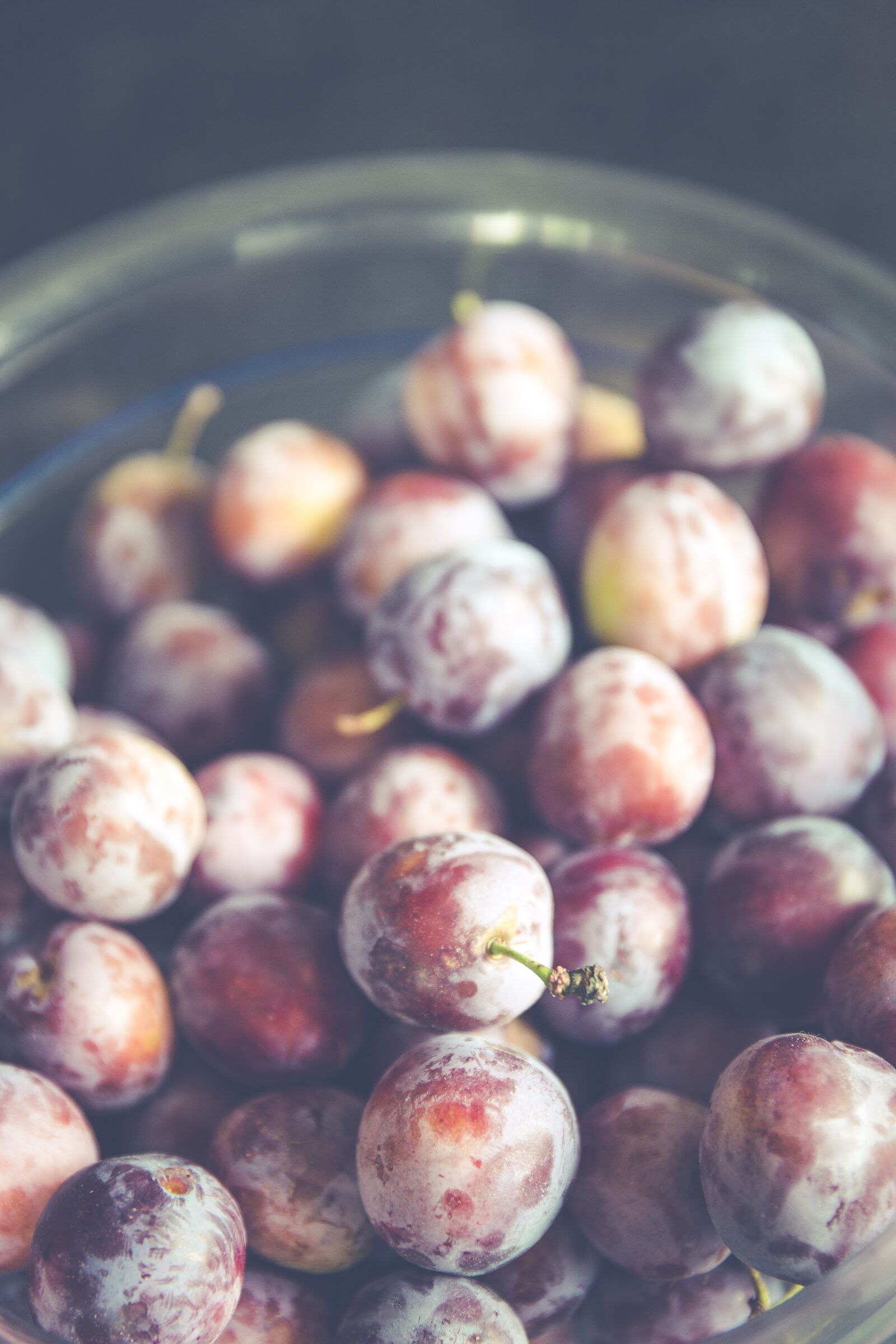 Canon EF 24-70mm F2.8L II USM sample photo. Plums, fruits, fruit photography