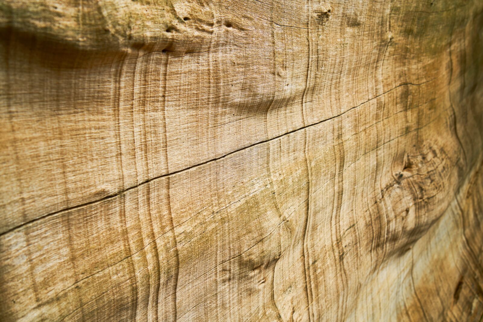Sony a7R II sample photo. Wood, texture, pattern photography