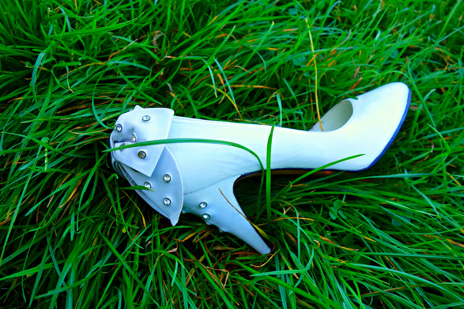 Sony Cyber-shot DSC-RX100 sample photo. Classic, fashion, grass, high photography