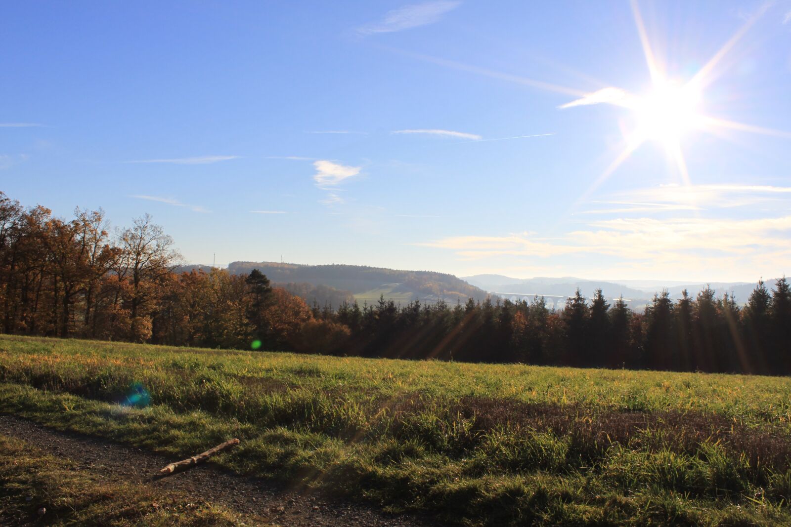 Canon EOS 500D (EOS Rebel T1i / EOS Kiss X3) sample photo. Autumn, forest, nature photography