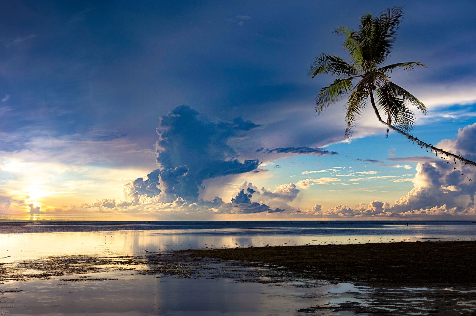 Canon EF 16-35mm F4L IS USM sample photo. Beach, sea, travel photography