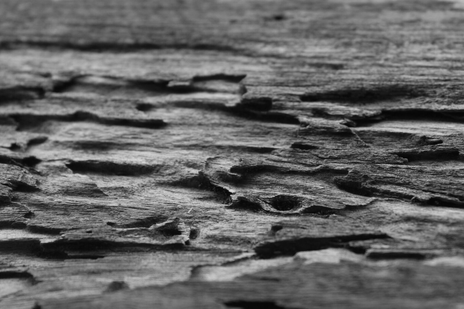 Canon EOS 500D (EOS Rebel T1i / EOS Kiss X3) sample photo. Old, stacked, wood, wood photography