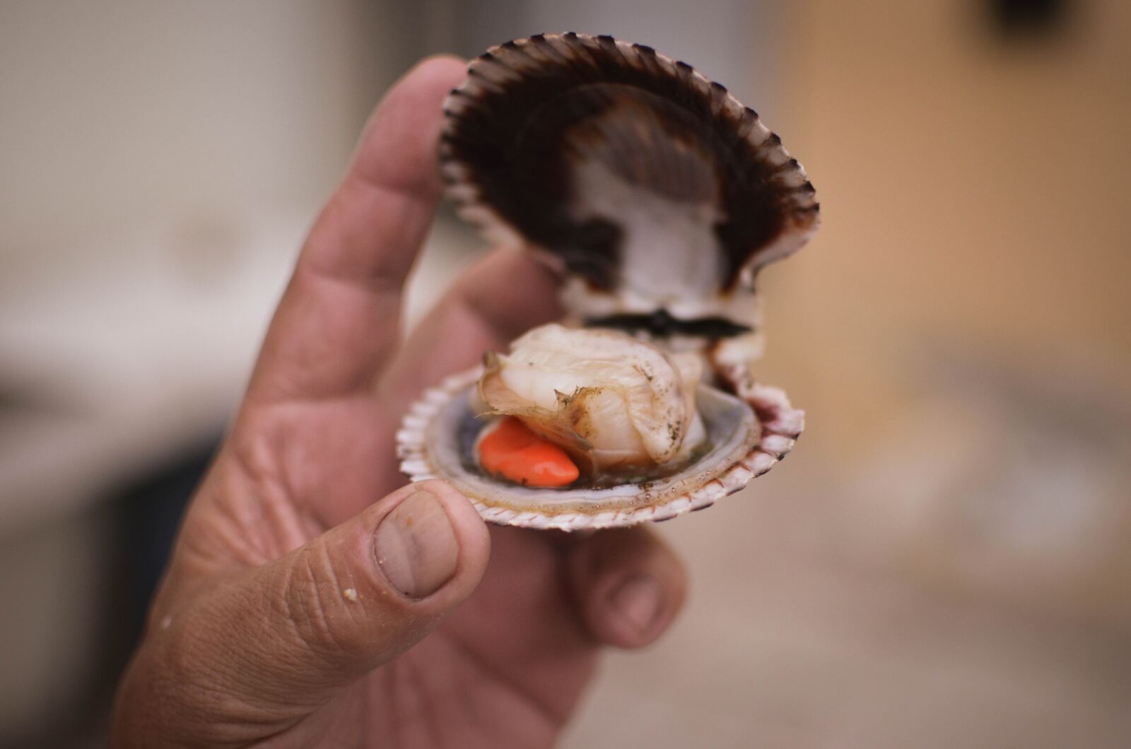 Nikon D7000 sample photo. Fisherman, oyster, fishing photography