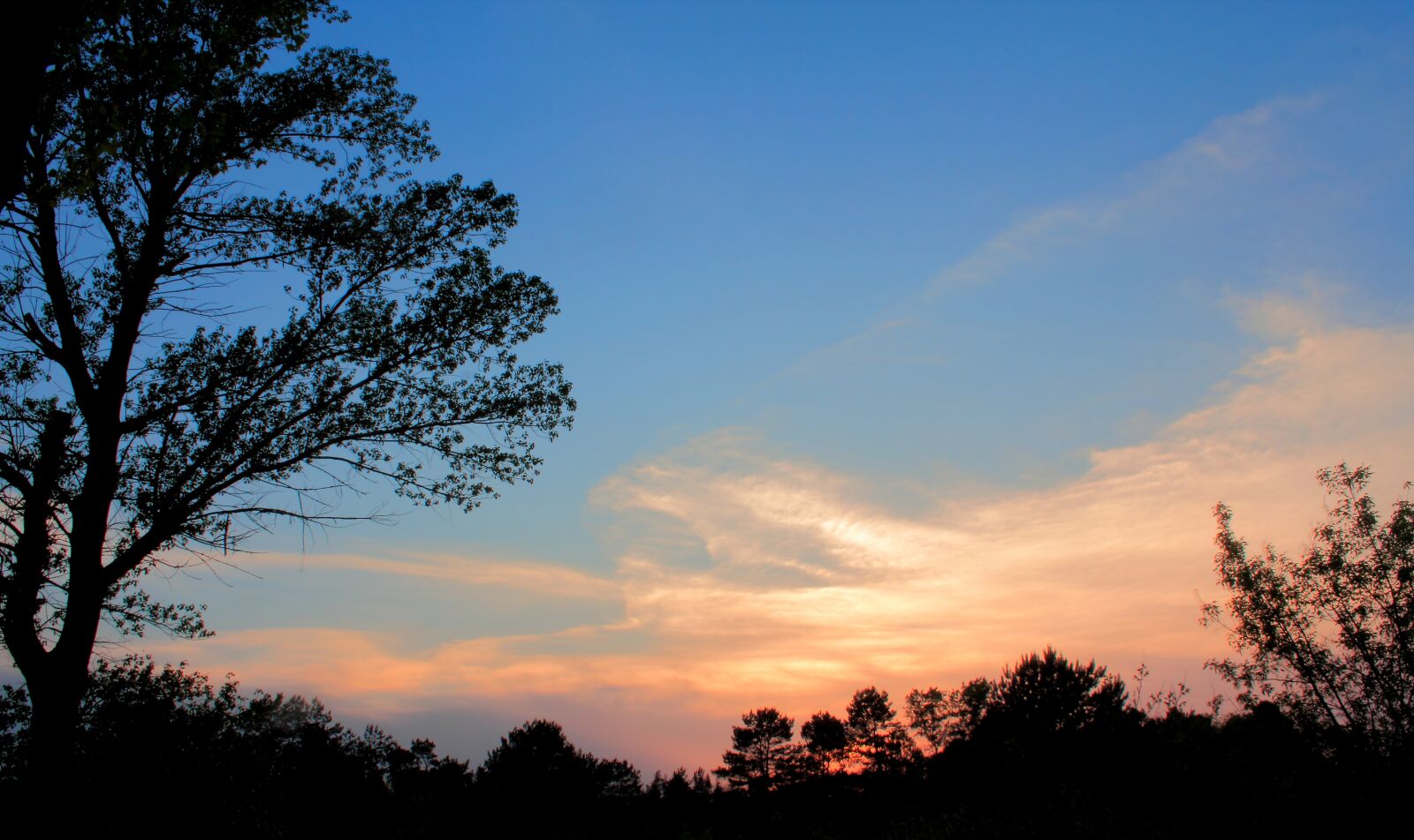 Canon EOS 550D (EOS Rebel T2i / EOS Kiss X4) sample photo. Nature, tree, dawn photography