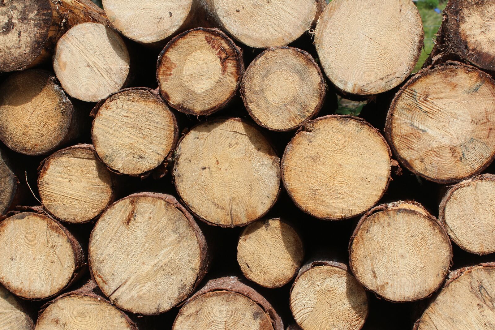 Canon EOS 600D (Rebel EOS T3i / EOS Kiss X5) sample photo. Chopped wood, firewoods, logs photography